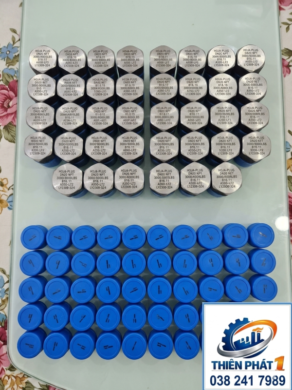 NÚT BỊT REN NGOÀI NPT DN20 – A350 LF2